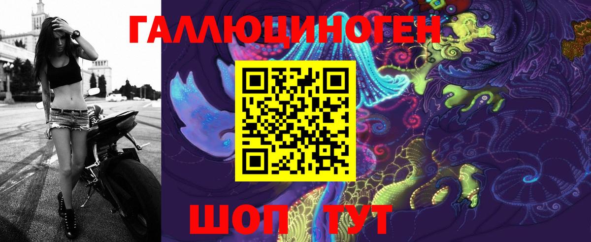 Галлюциногенные грибы Psilocybe Тайшет